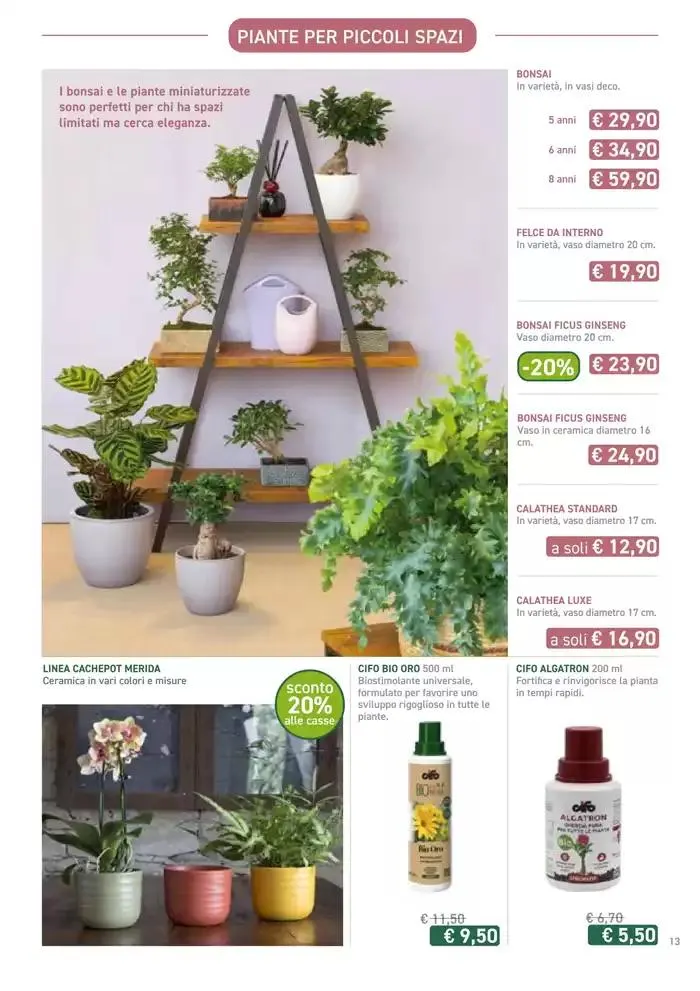 Festa di Primavera da 13 marzo a 13 aprile di 2025 - Pagina del volantino 13