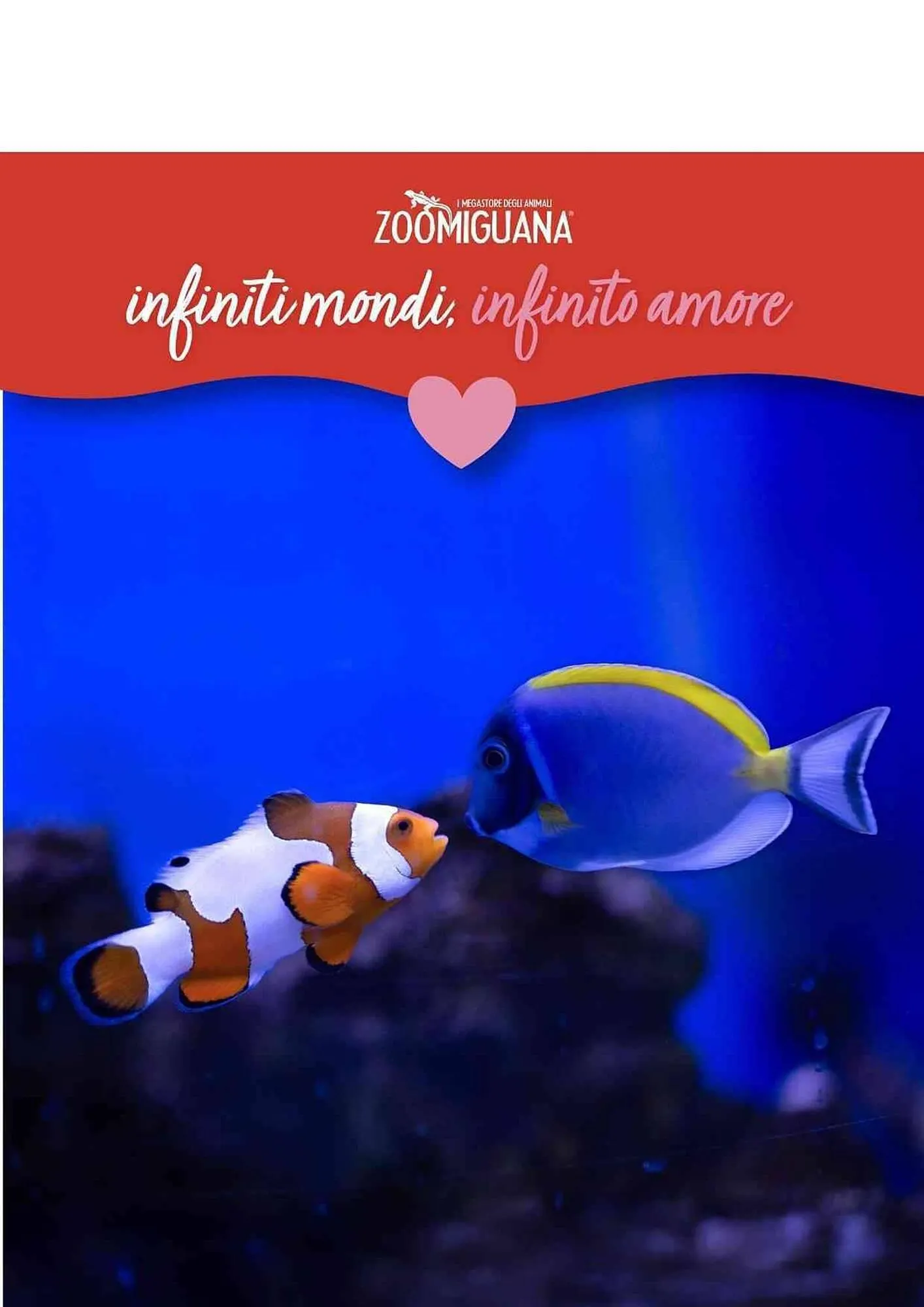 Volantino Zoomiguana da 15 febbraio a 1 marzo di 2026 - Pagina del volantino 5