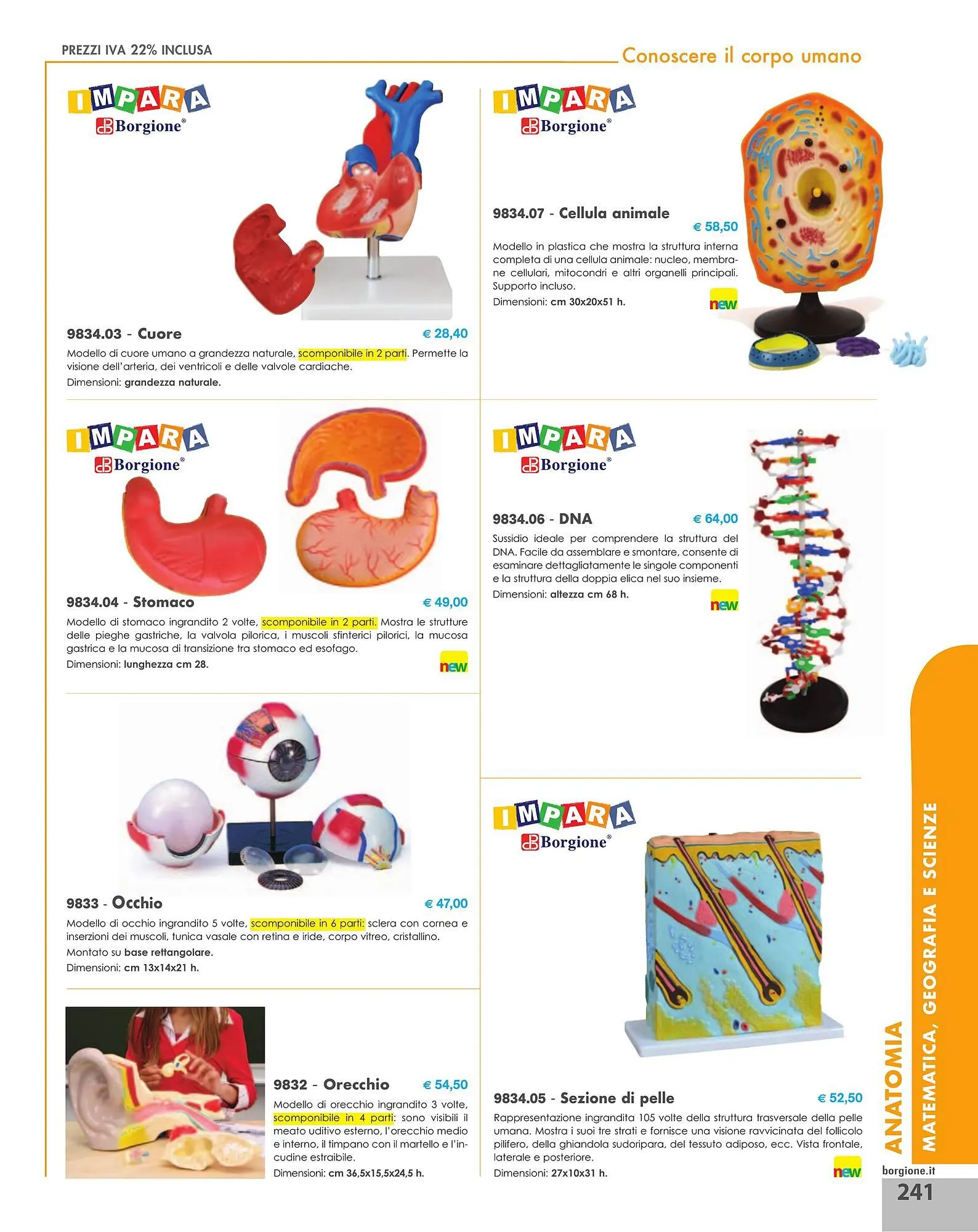 Volantino Borgione Sport da 31 dicembre a 31 dicembre di 2025 - Pagina del volantino 241