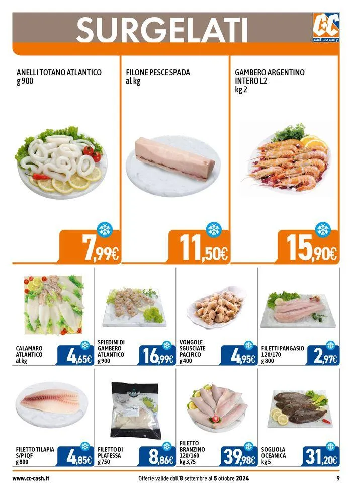 Professional da 9 settembre a 5 ottobre di 2024 - Pagina del volantino 9