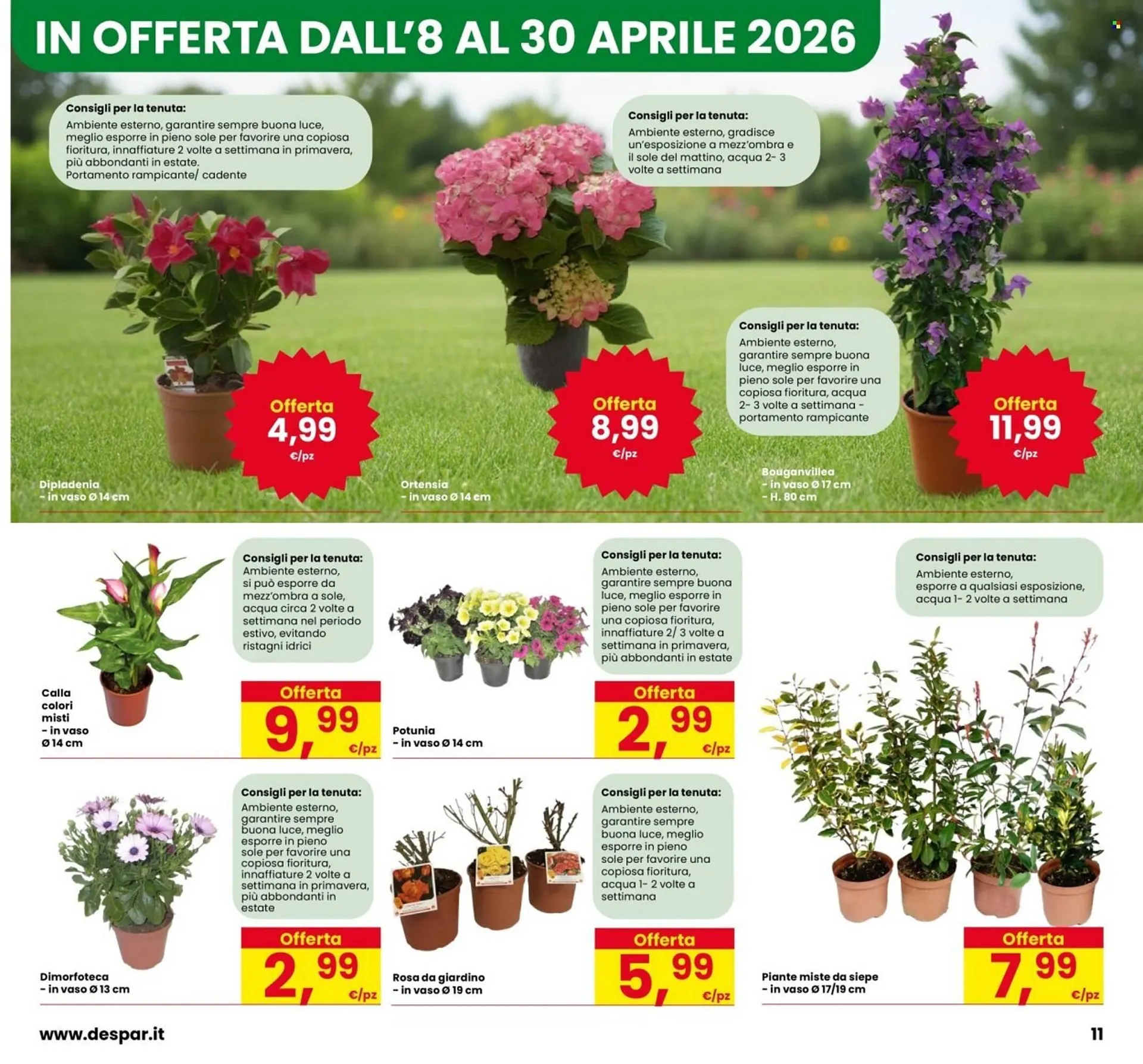 Volantino Interspar da 13 aprile a 18 maggio di 2026 - Pagina del volantino 11