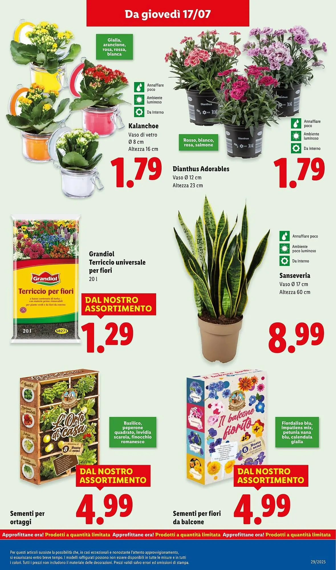 Volantino Lidl da 14 luglio a 20 luglio di 2025 - Pagina del volantino 37