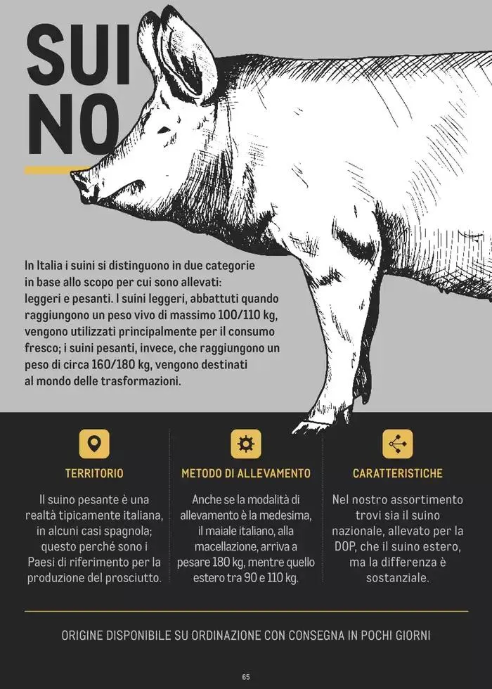CATALOGO CARNE 2024 da 2 gennaio a 31 agosto di 2025 - Pagina del volantino 65