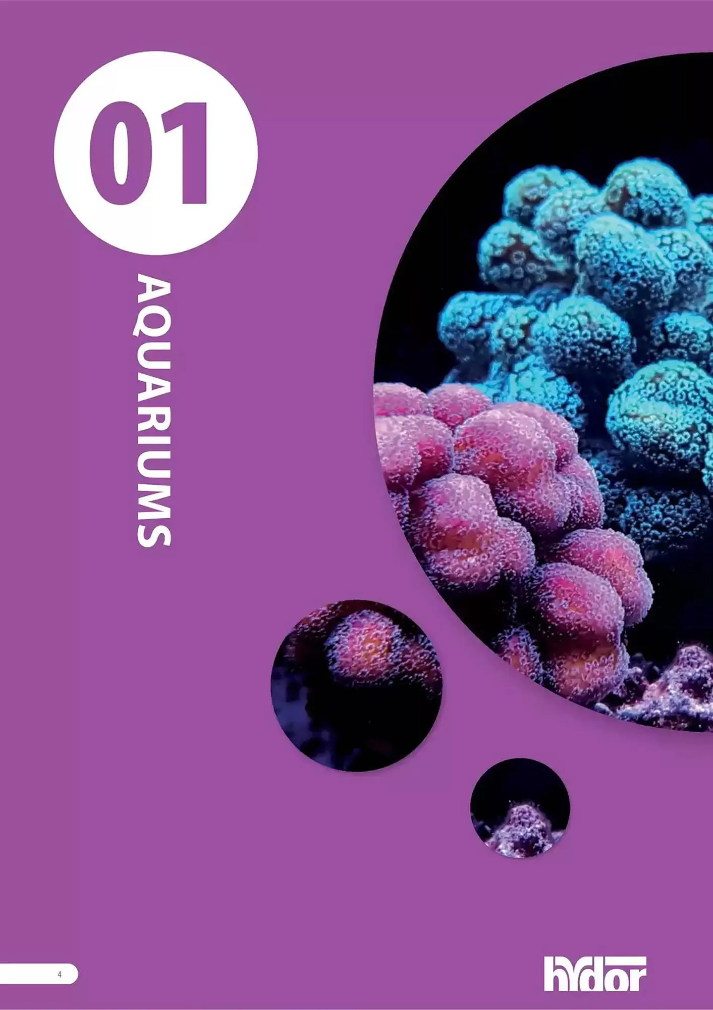 Volantino Ferplast da 13 dicembre a 31 dicembre di 2026 - Pagina del volantino 5