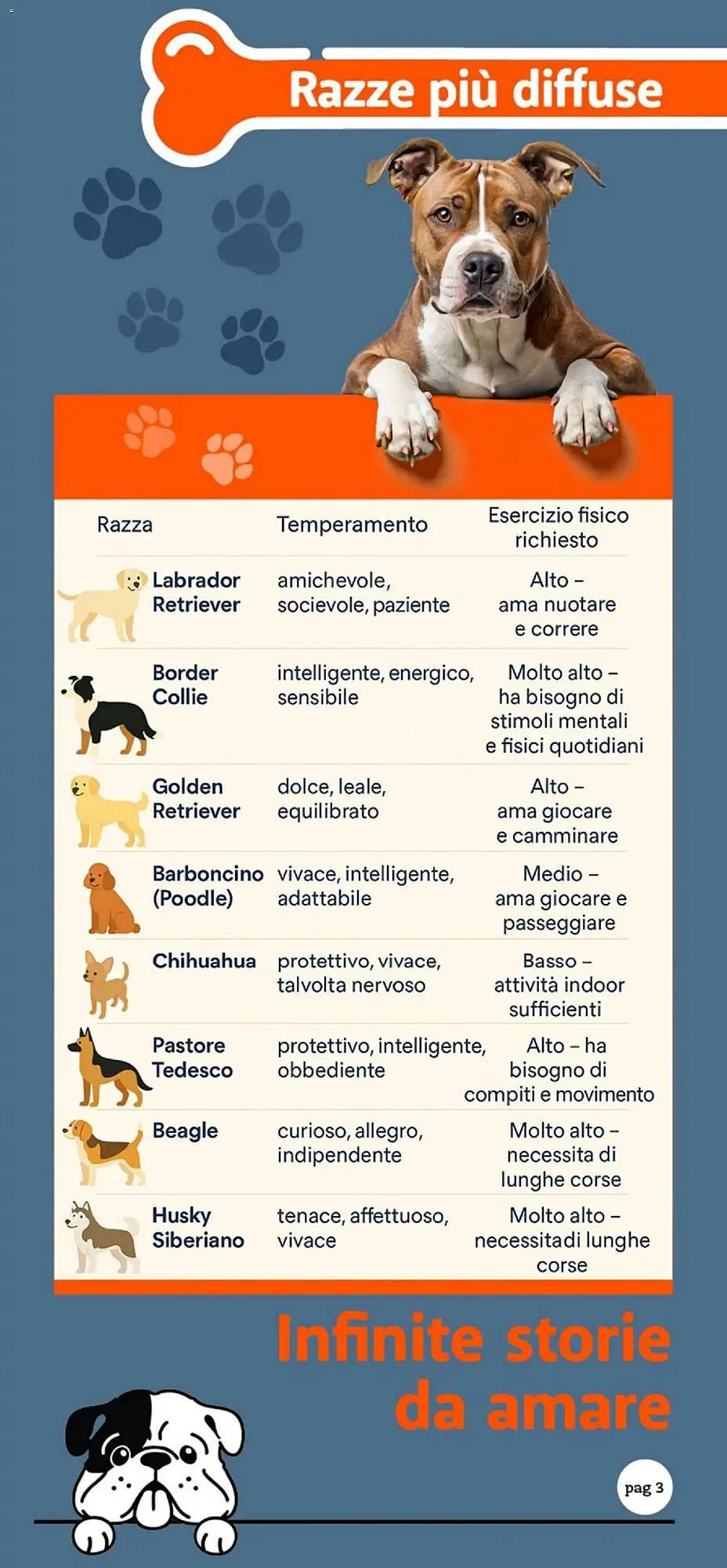 Volantino Supermercati Dok da 24 ottobre a 9 novembre di 2025 - Pagina del volantino 3