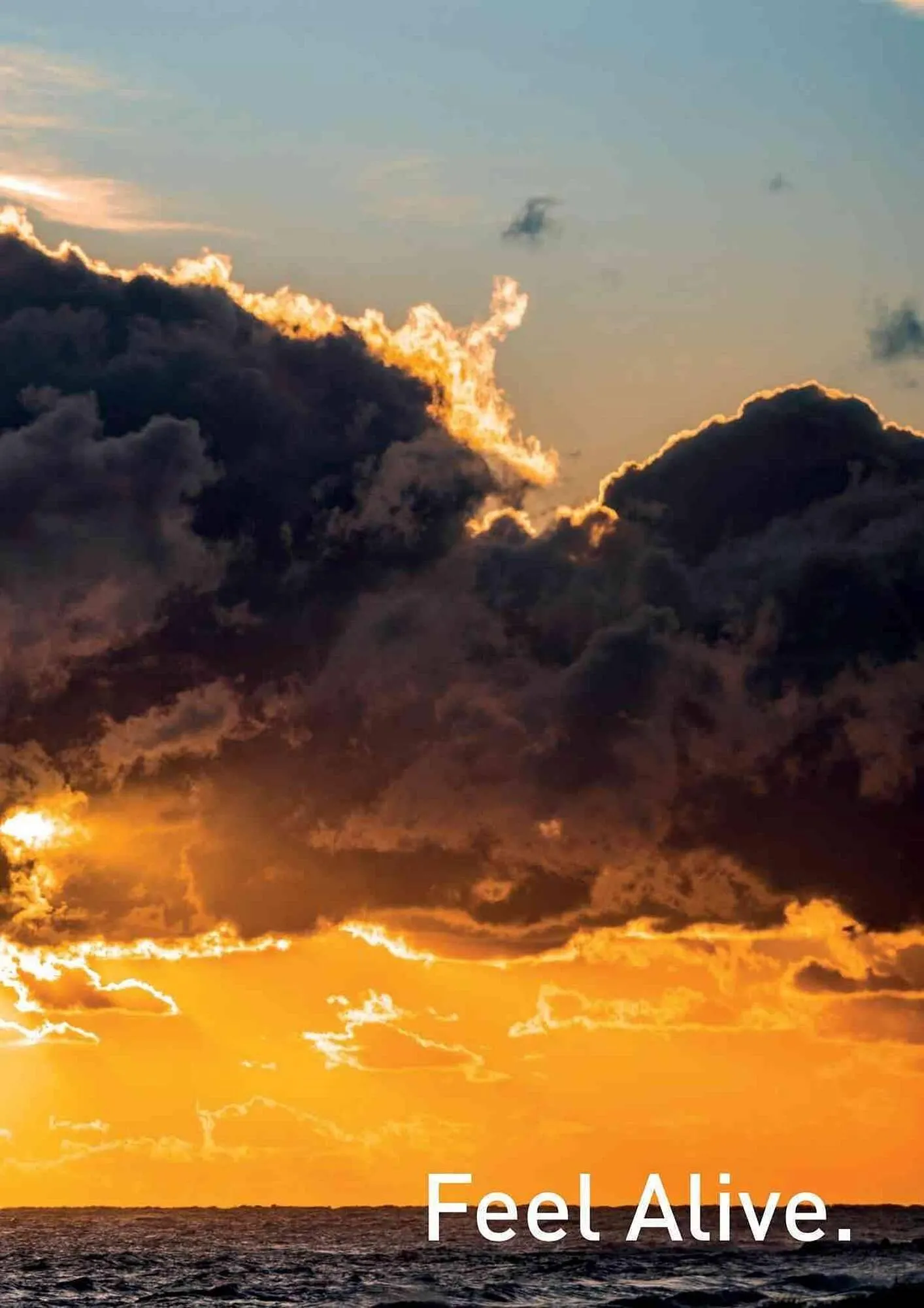 Volantino Daiwa da 4 febbraio a 31 dicembre di 2025 - Pagina del volantino 81