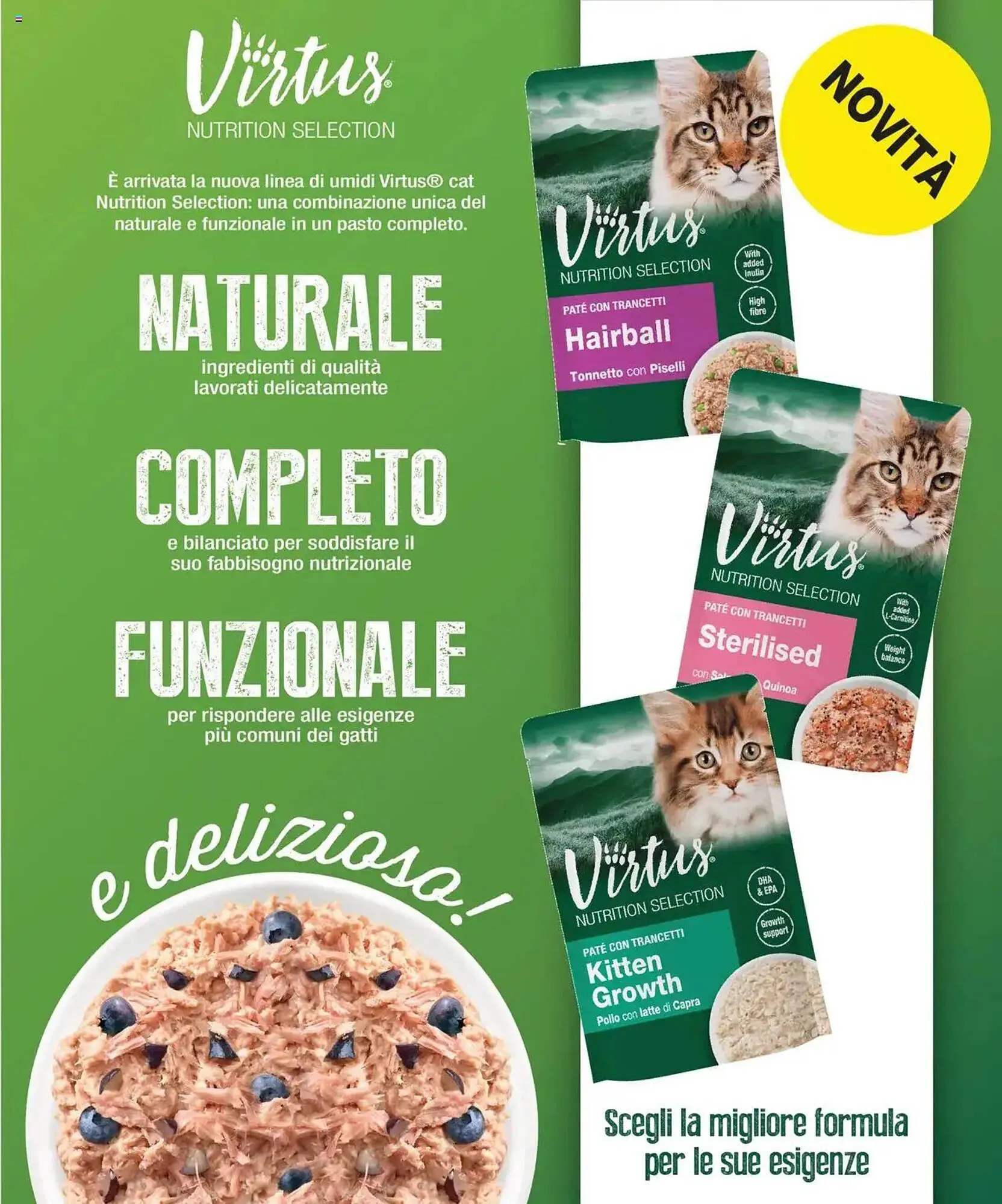 Volantino Arcaplanet da 13 giugno a 22 giugno di 2025 - Pagina del volantino 16