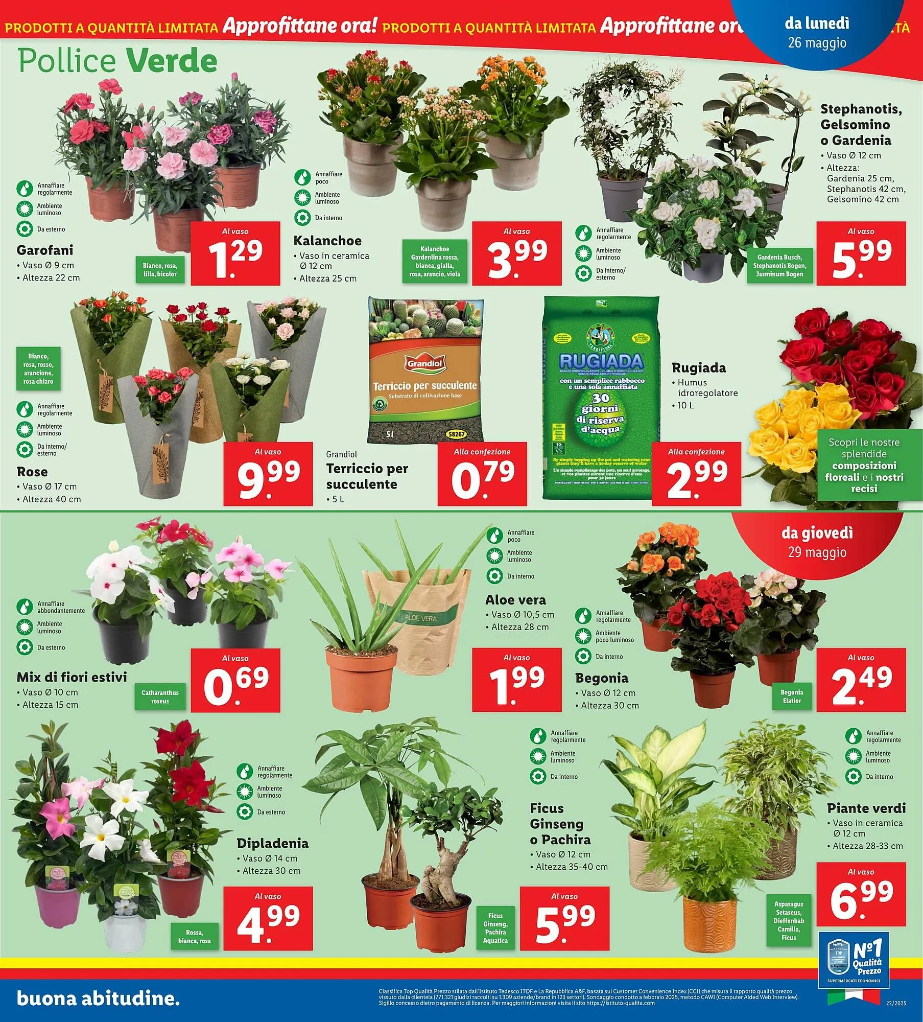 Volantino Lidl da 26 maggio a 1 giugno di 2025 - Pagina del volantino 19