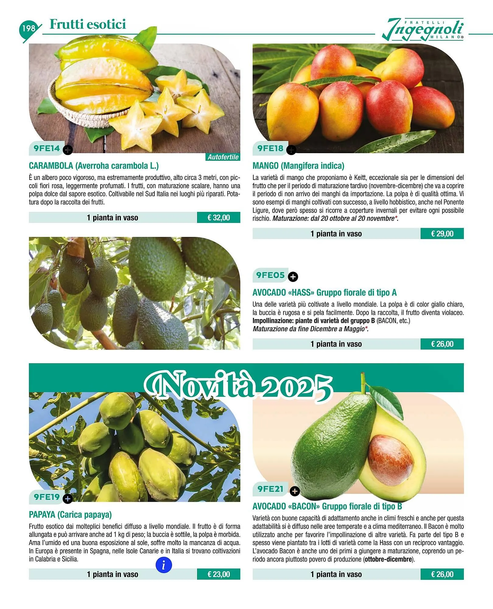 Volantino Ingegnoli da 4 novembre a 31 dicembre di 2025 - Pagina del volantino 200