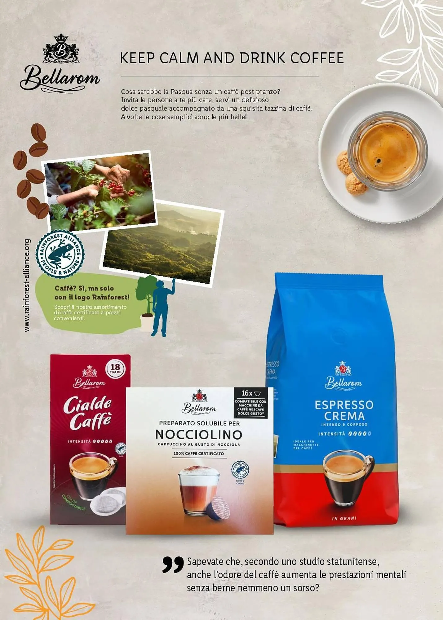 Volantino Lidl da 24 marzo a 20 aprile di 2025 - Pagina del volantino 13