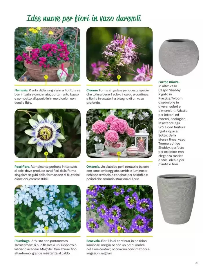 Idee per la vita all' aperto da 18 aprile a 18 maggio di 2025 - Pagina del volantino 33