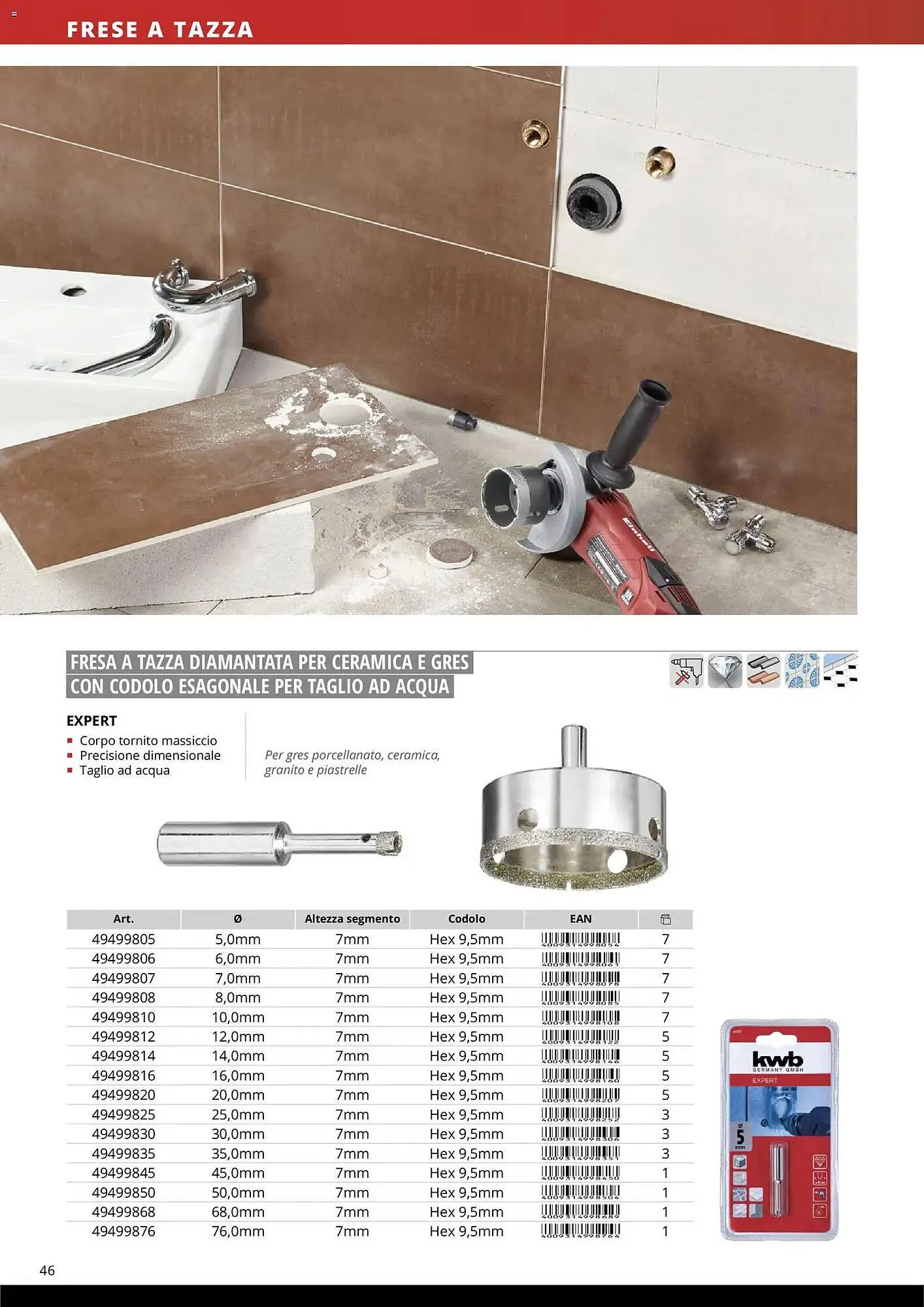 Volantino Einhell da 17 marzo a 31 dicembre di 2026 - Pagina del volantino 48