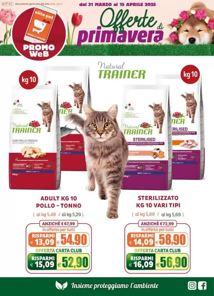 Offerte di Primavera da 31 marzo a 15 aprile di 2025 - Pagina del volantino 7