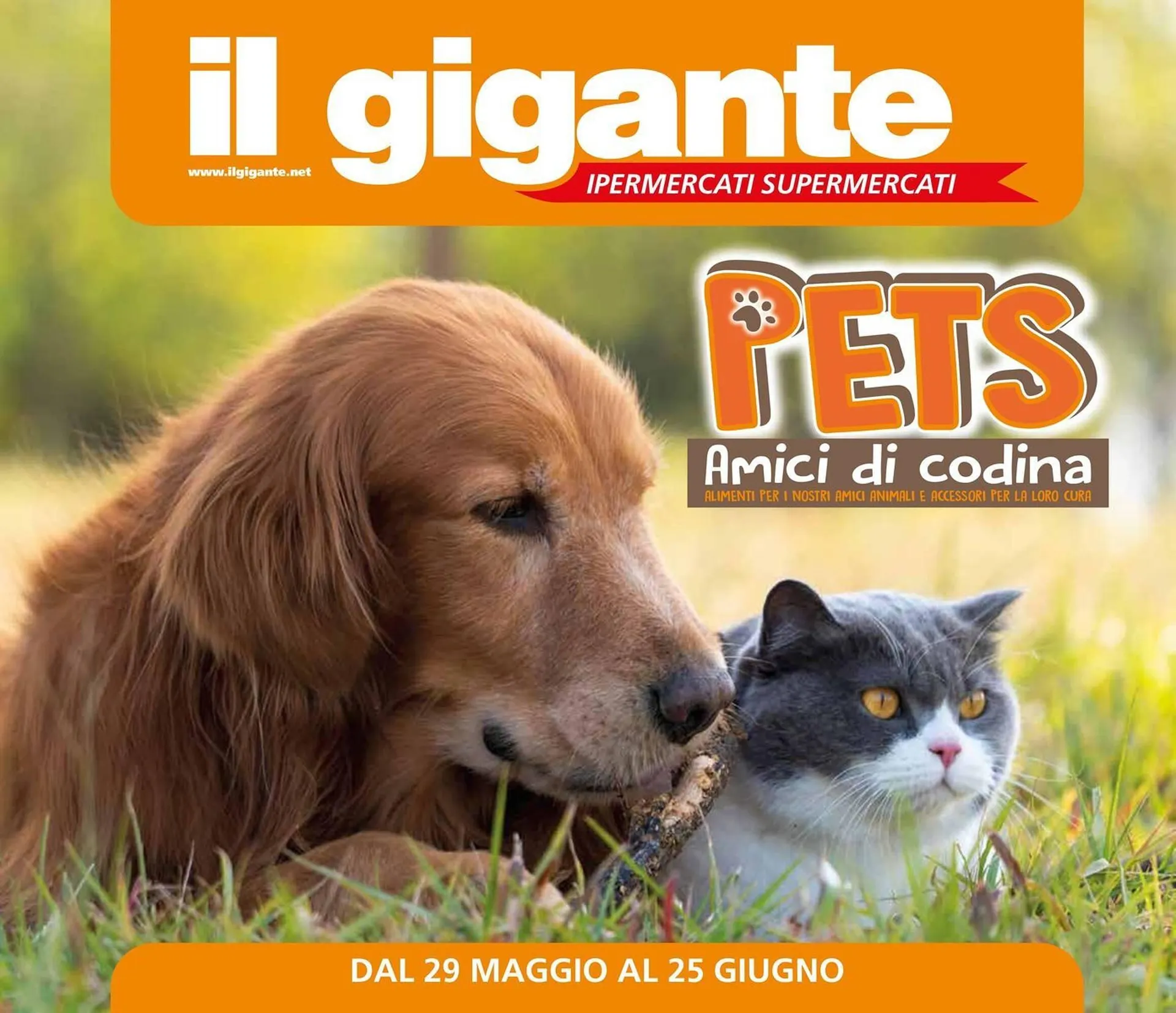 Volantino Il Gigante - 1