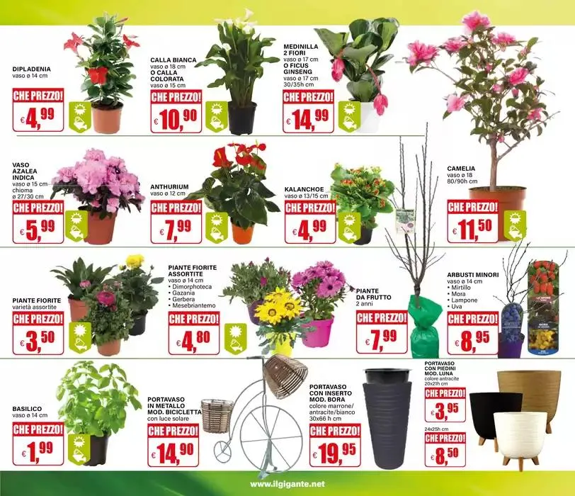 Sconti giganteschi da 13 marzo a 26 marzo di 2025 - Pagina del volantino 35