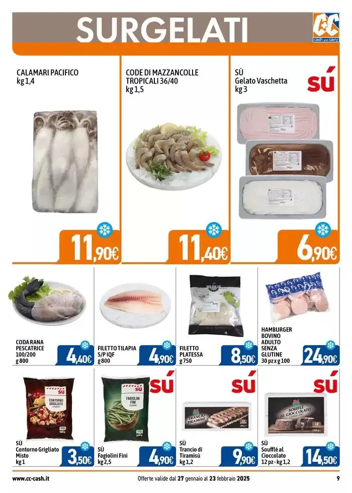 Professional da 27 gennaio a 23 febbraio di 2025 - Pagina del volantino 9