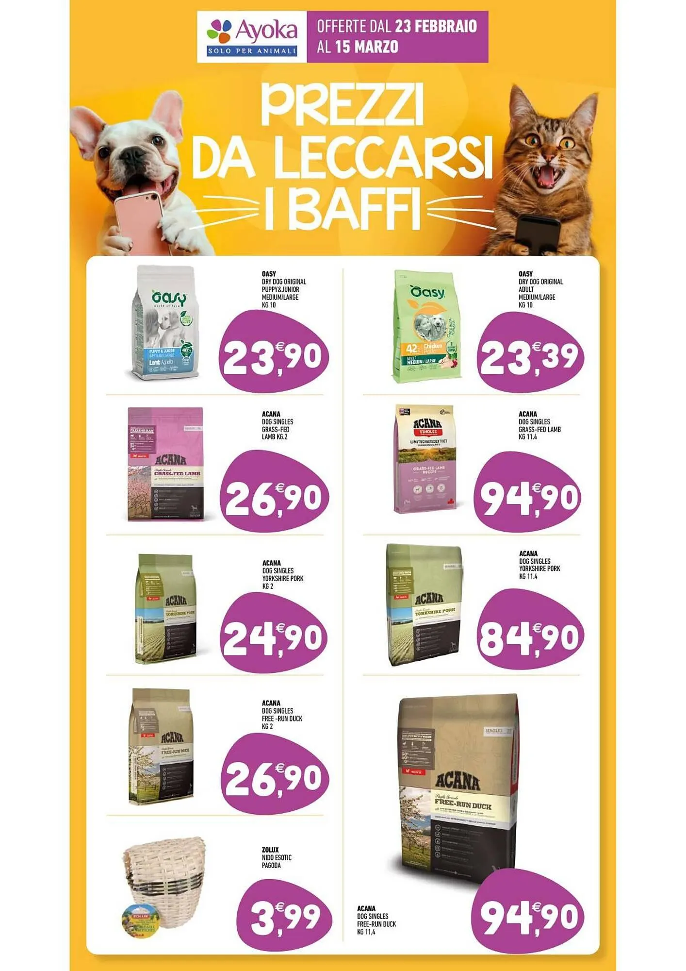 Volantino Ayoka da 23 febbraio a 15 marzo di 2026 - Pagina del volantino 12
