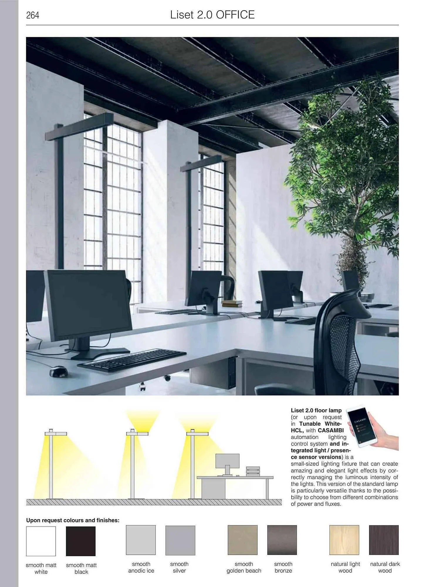 Volantino Disano da 12 giugno a 31 gennaio di 2024 - Pagina del volantino 266