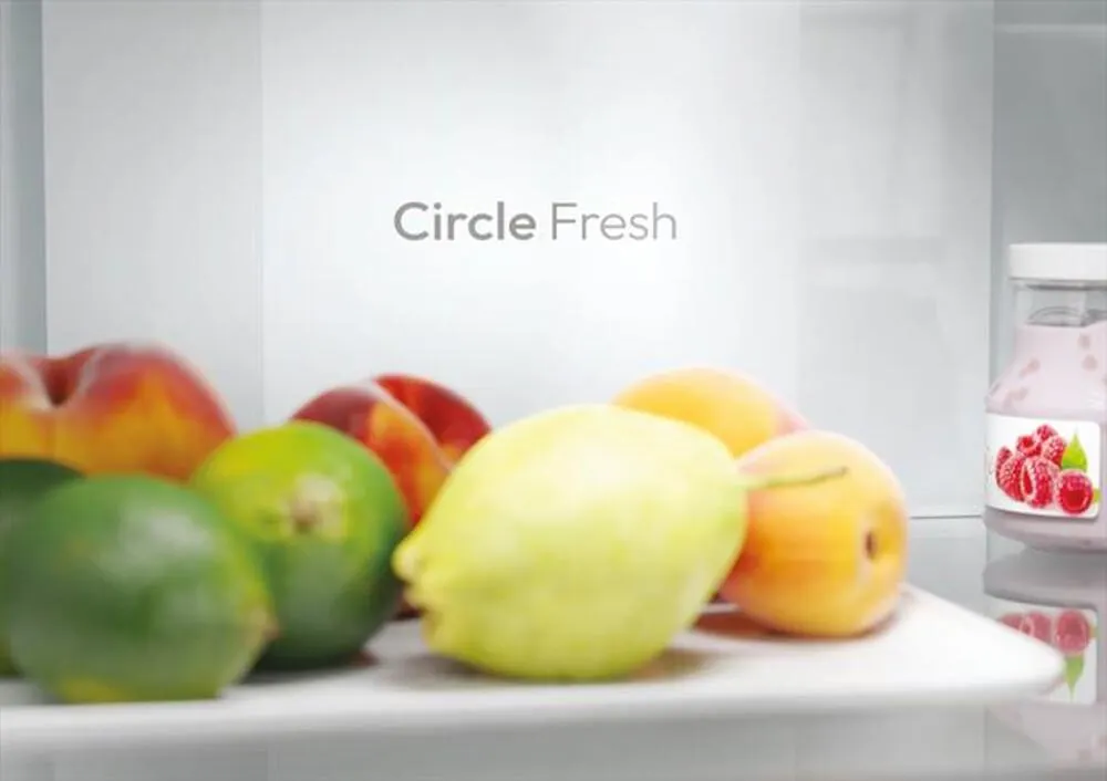 CANDY - Frigorifero combinato CNCQ2T620EB Classe E 409 lt-Black