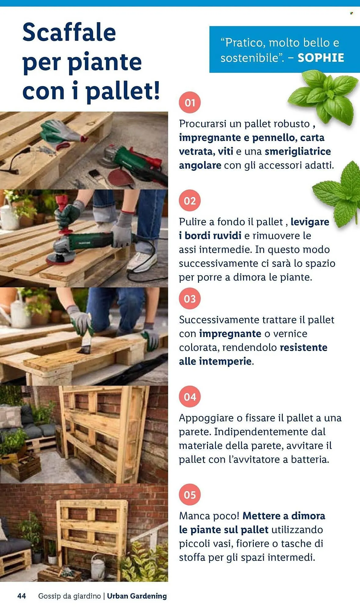 Volantino Lidl da 22 aprile a 30 aprile di 2026 - Pagina del volantino 44