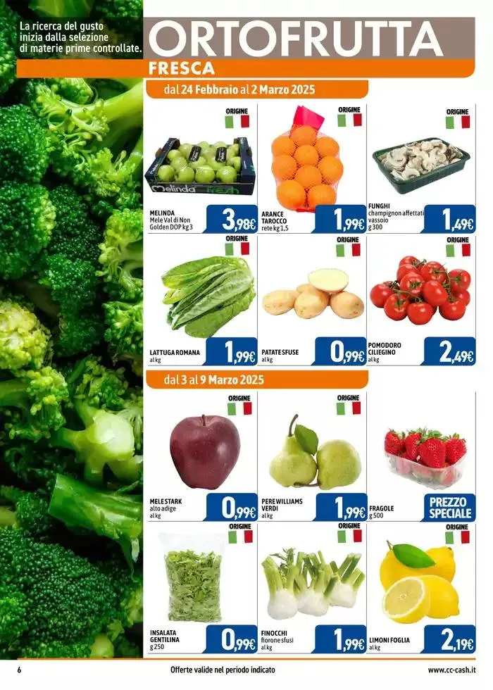 PROFESSIONAL da 24 febbraio a 23 marzo di 2025 - Pagina del volantino 6