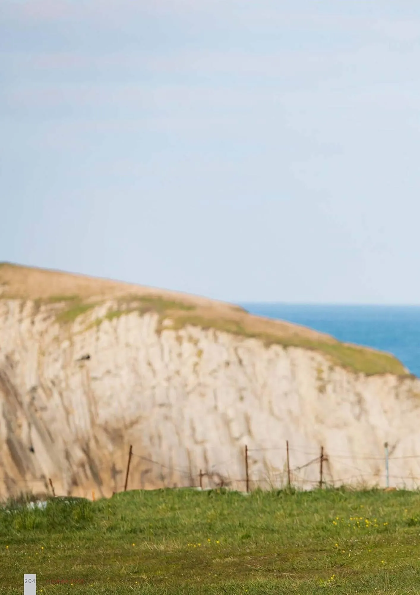 Volantino Fiamma da 14 gennaio a 31 dicembre di 2025 - Pagina del volantino 204