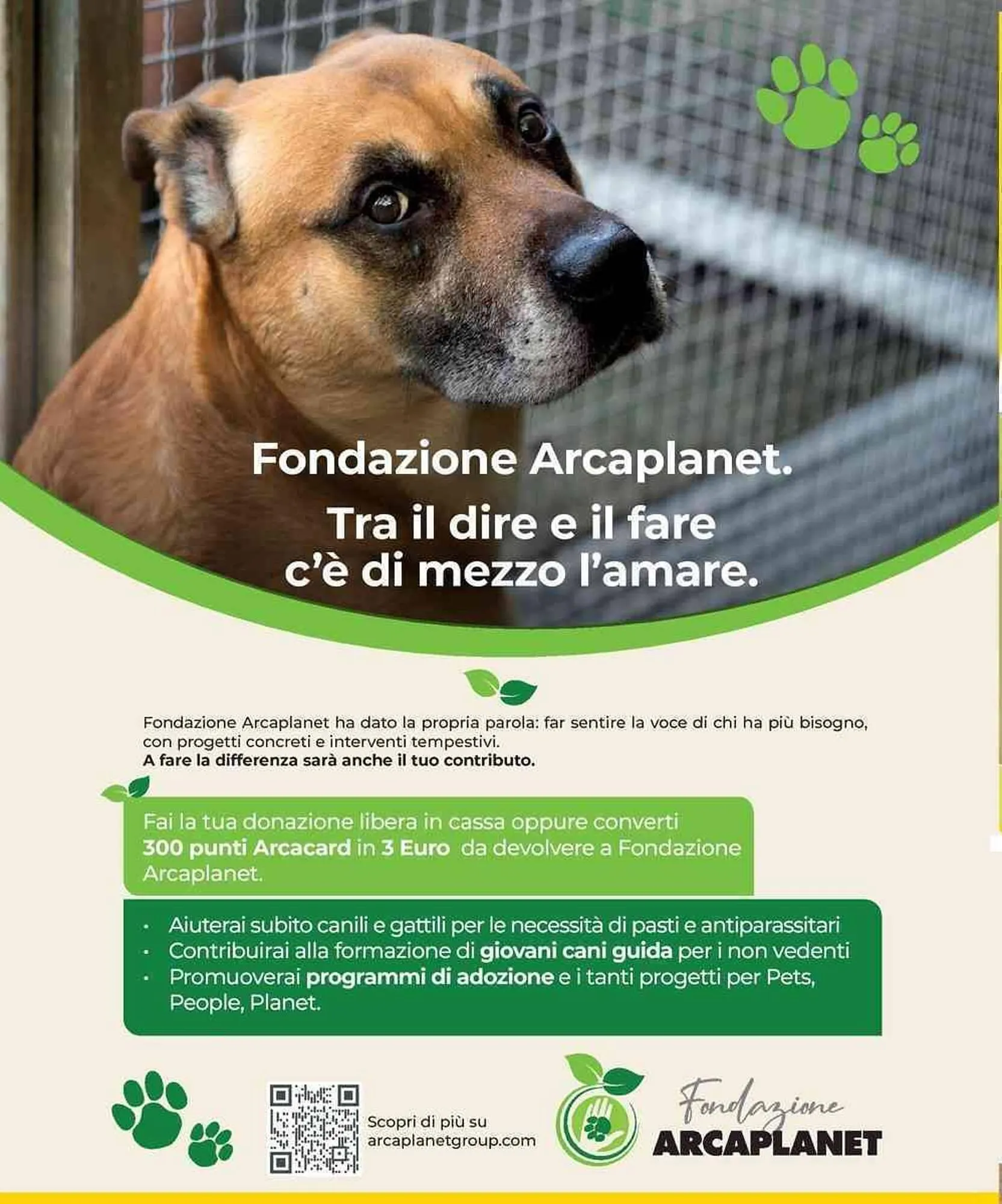 Volantino Arcaplanet da 8 dicembre a 14 dicembre di 2025 - Pagina del volantino 46