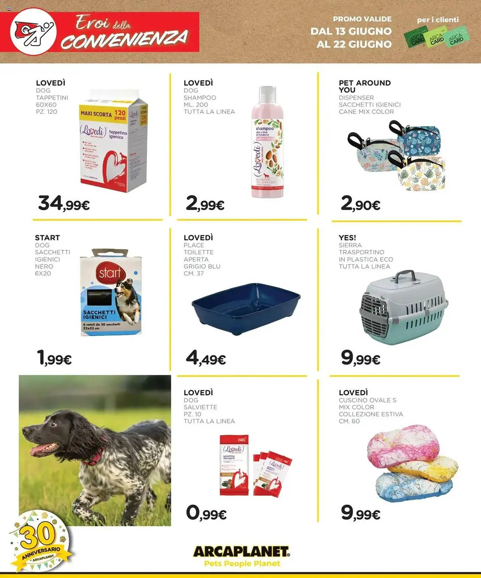 Volantino Arcaplanet da 13 giugno a 22 giugno di 2025 - Pagina del volantino 26