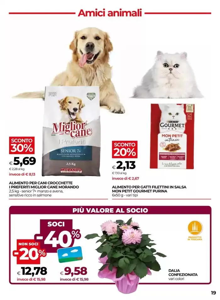 Dal 5 al 14 maggio 2025 da 5 maggio a 14 maggio di 2025 - Pagina del volantino 19