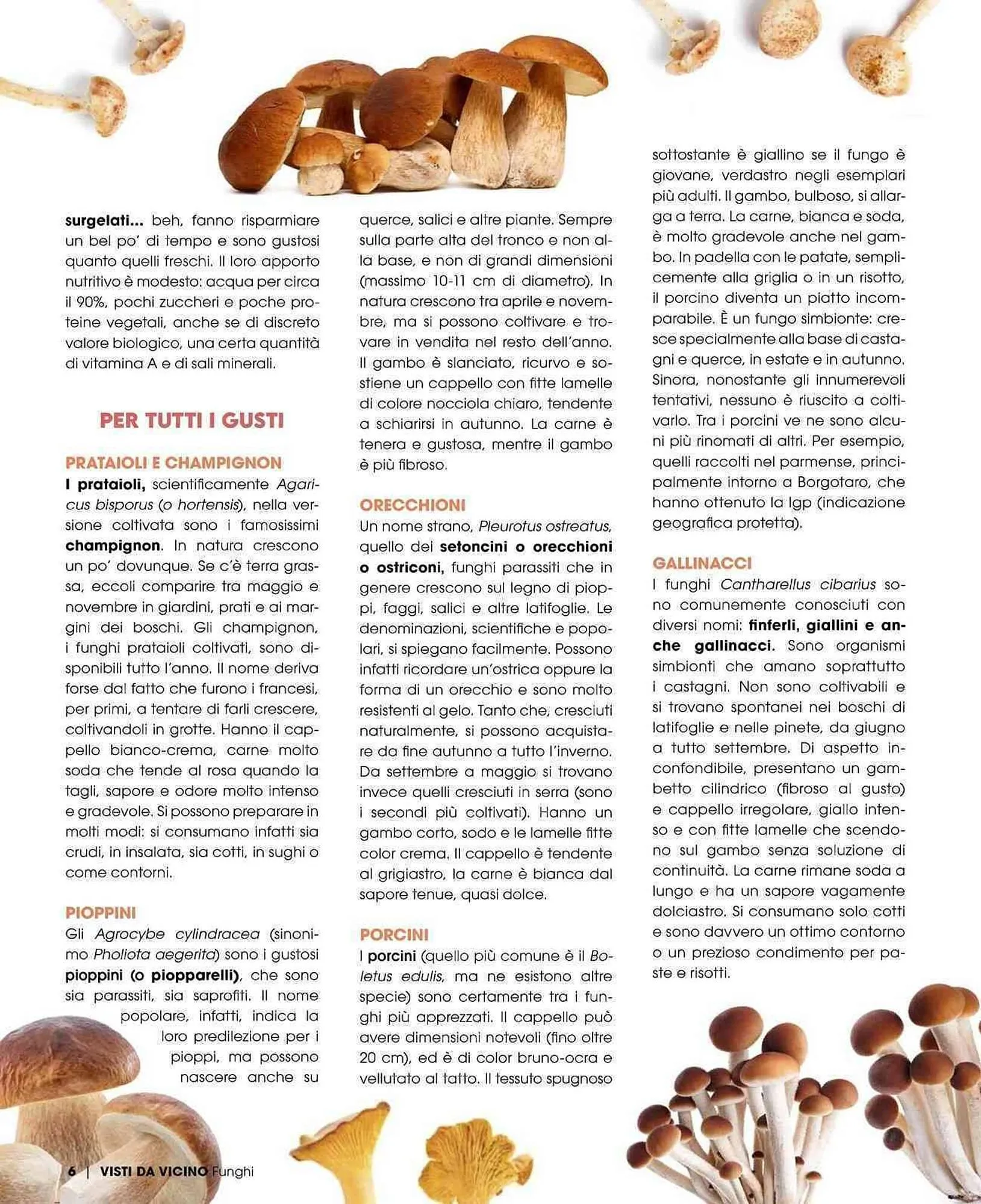 Volantino A&O da 1 settembre a 31 ottobre di 2025 - Pagina del volantino 7