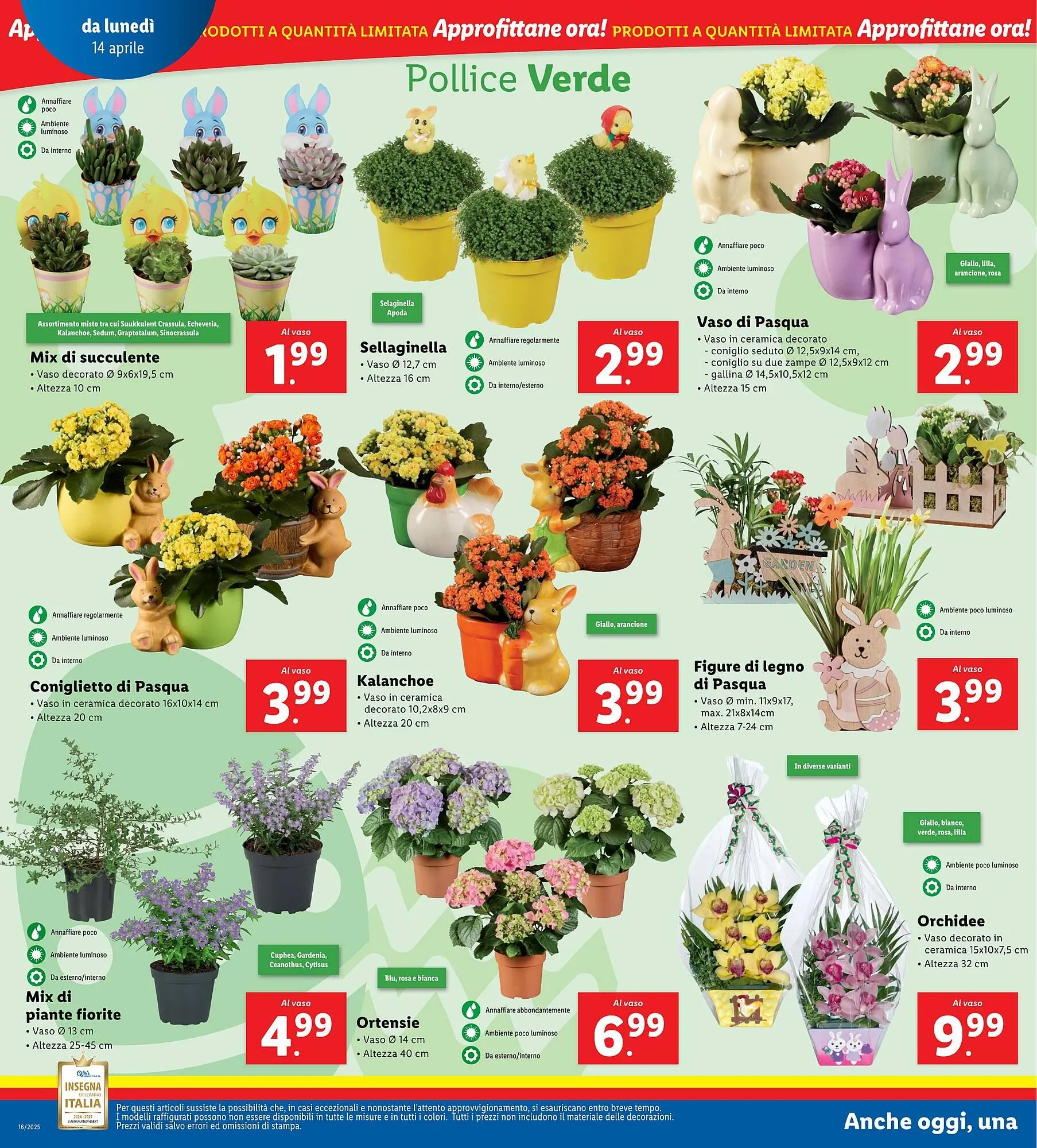 Volantino Lidl da 14 aprile a 19 aprile di 2025 - Pagina del volantino 28