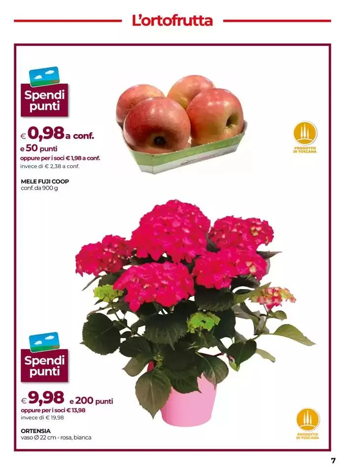 Dal 3 al 9 aprile 2025 da 3 aprile a 9 aprile di 2025 - Pagina del volantino 7