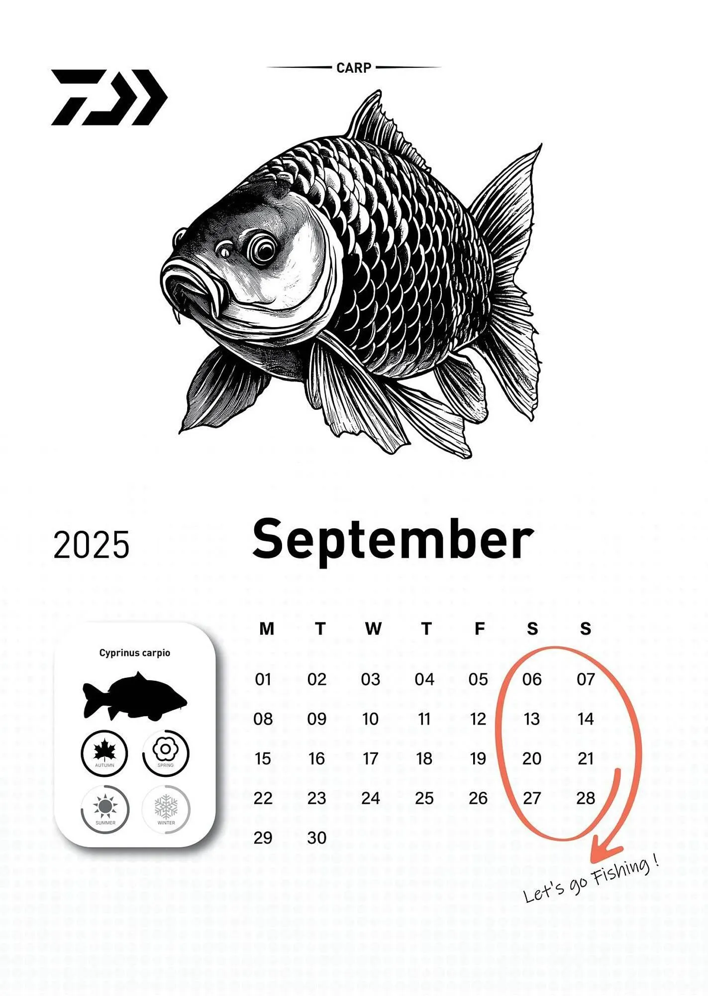 Volantino Daiwa da 6 dicembre a 31 dicembre di 2025 - Pagina del volantino 10