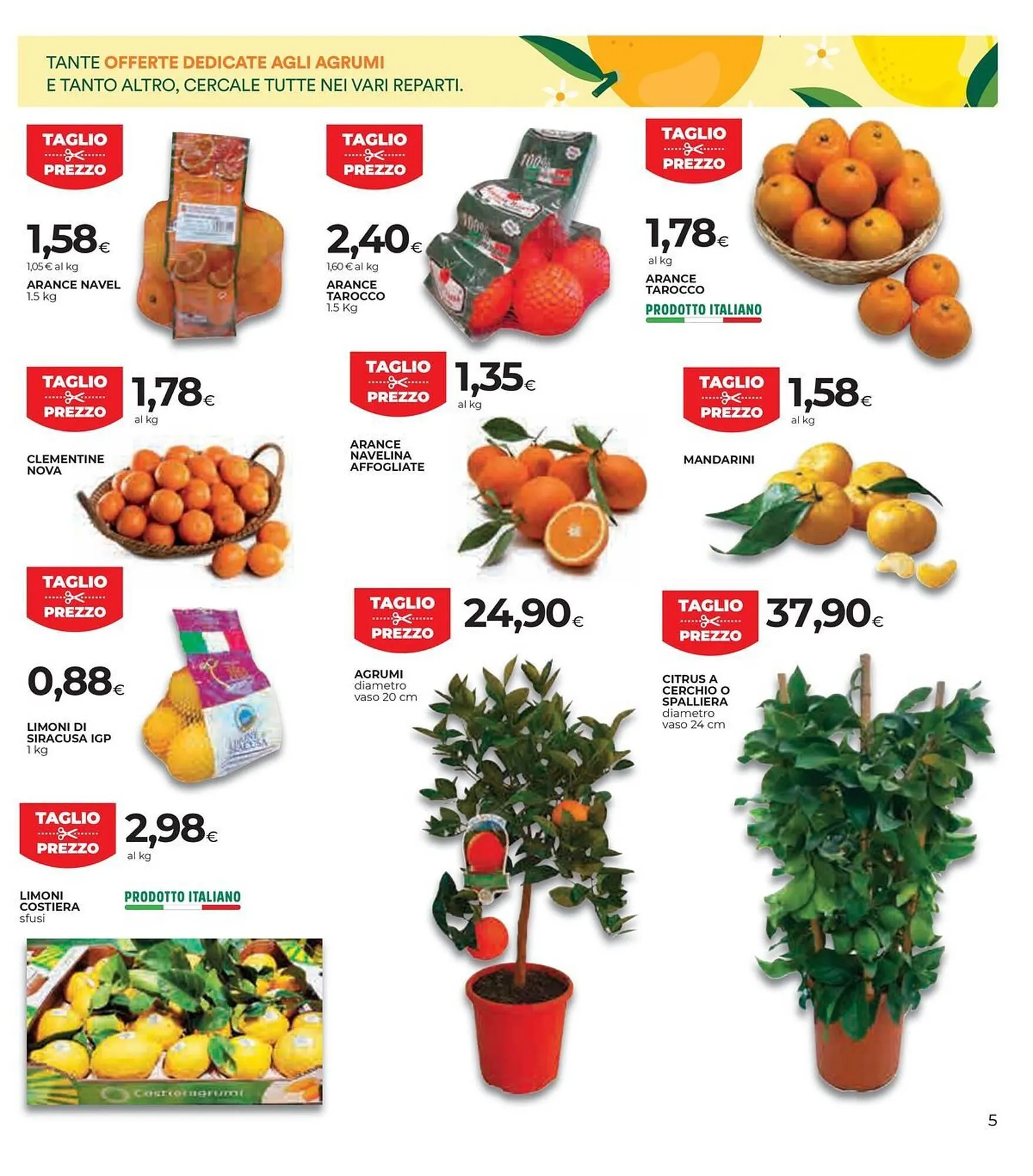 Volantino Coop da 15 gennaio a 28 gennaio di 2026 - Pagina del volantino 5