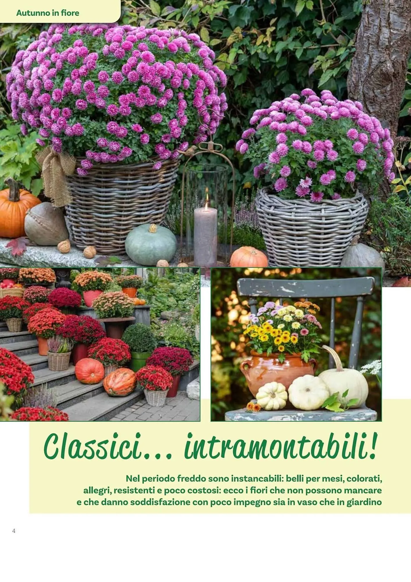 Volantino Viridea da 17 ottobre a 22 dicembre di 2025 - Pagina del volantino 4