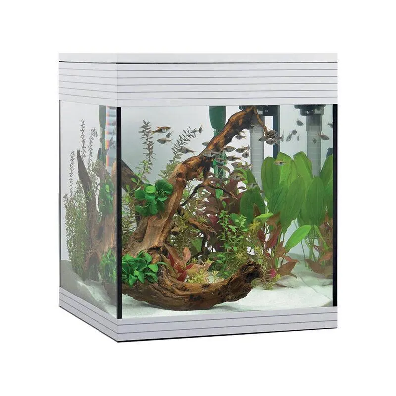 Askoll Pure M led bianco