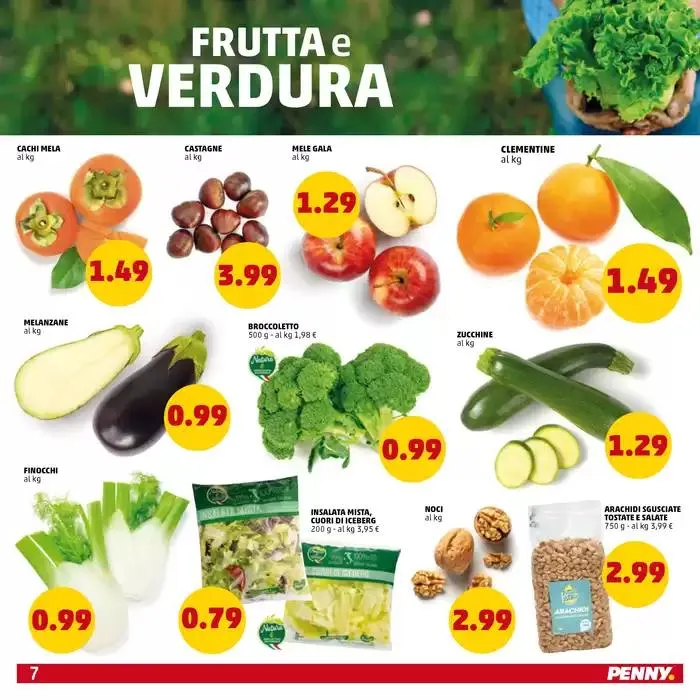 Nuova apertura da 19 novembre a 27 novembre di 2024 - Pagina del volantino 7