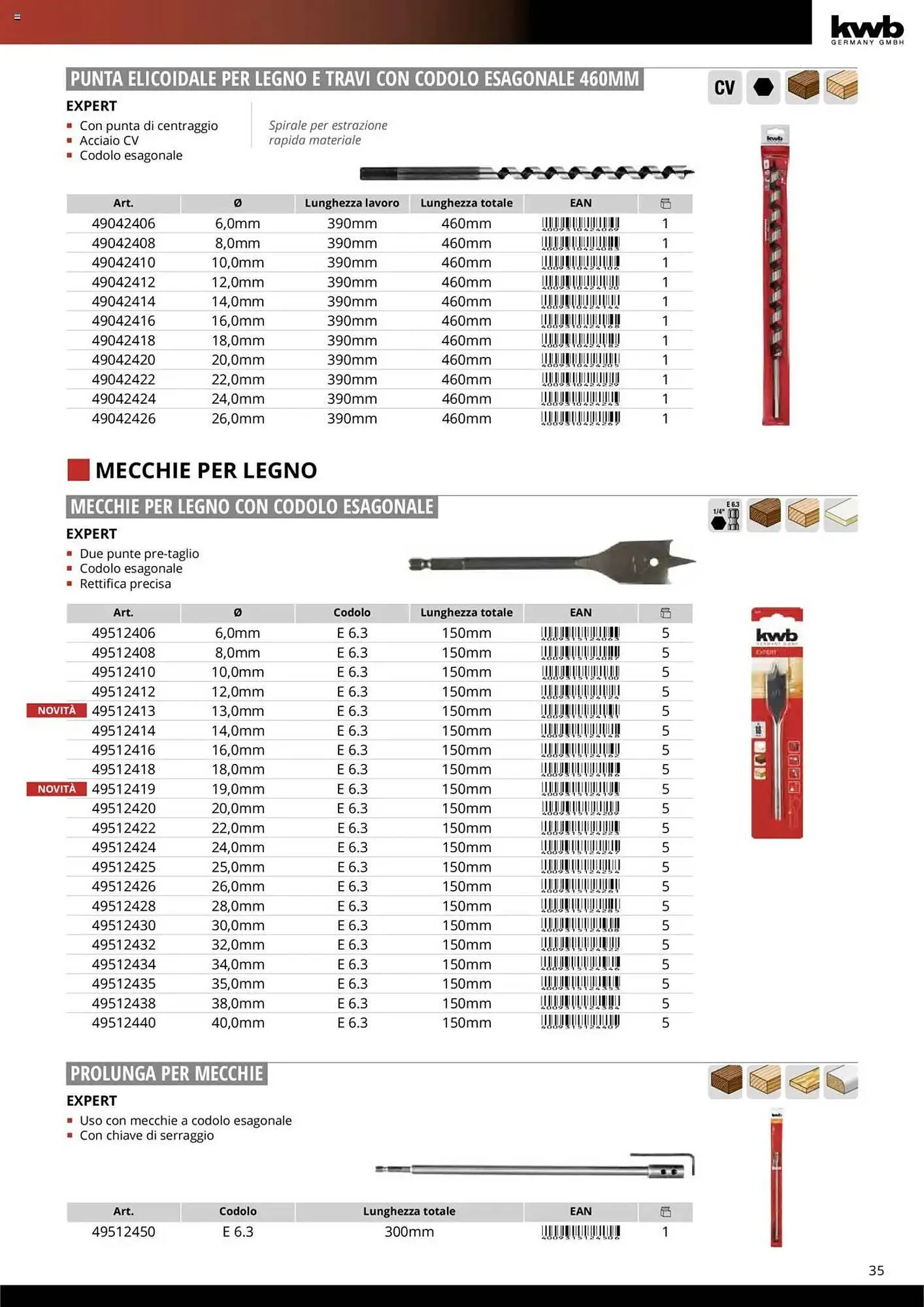 Volantino Einhell da 10 ottobre a 31 dicembre di 2025 - Pagina del volantino 37