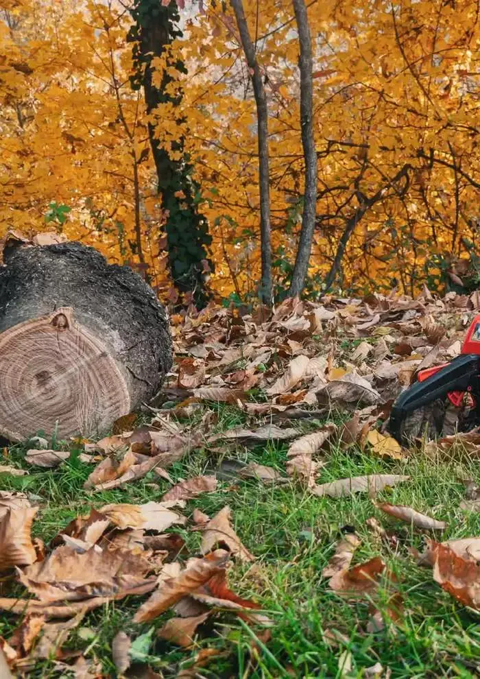 Catalogo master prodotti 2025 da 17 febbraio a 31 dicembre di 2025 - Pagina del volantino 148