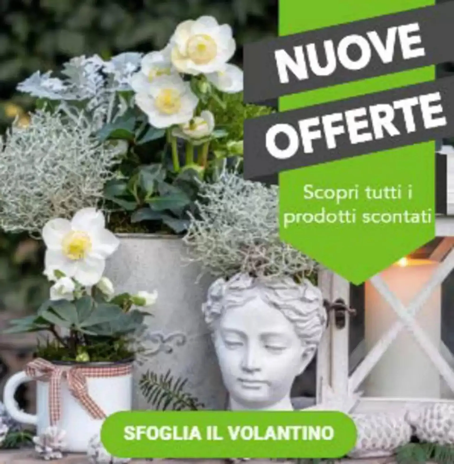 Volantino Giardineria - 1