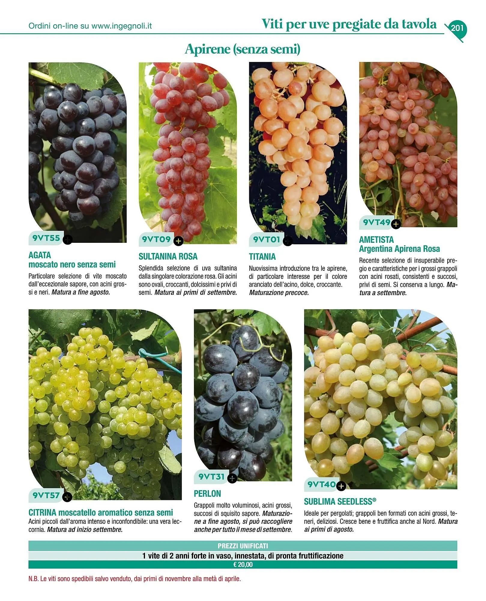 Volantino Ingegnoli da 4 novembre a 31 dicembre di 2025 - Pagina del volantino 203