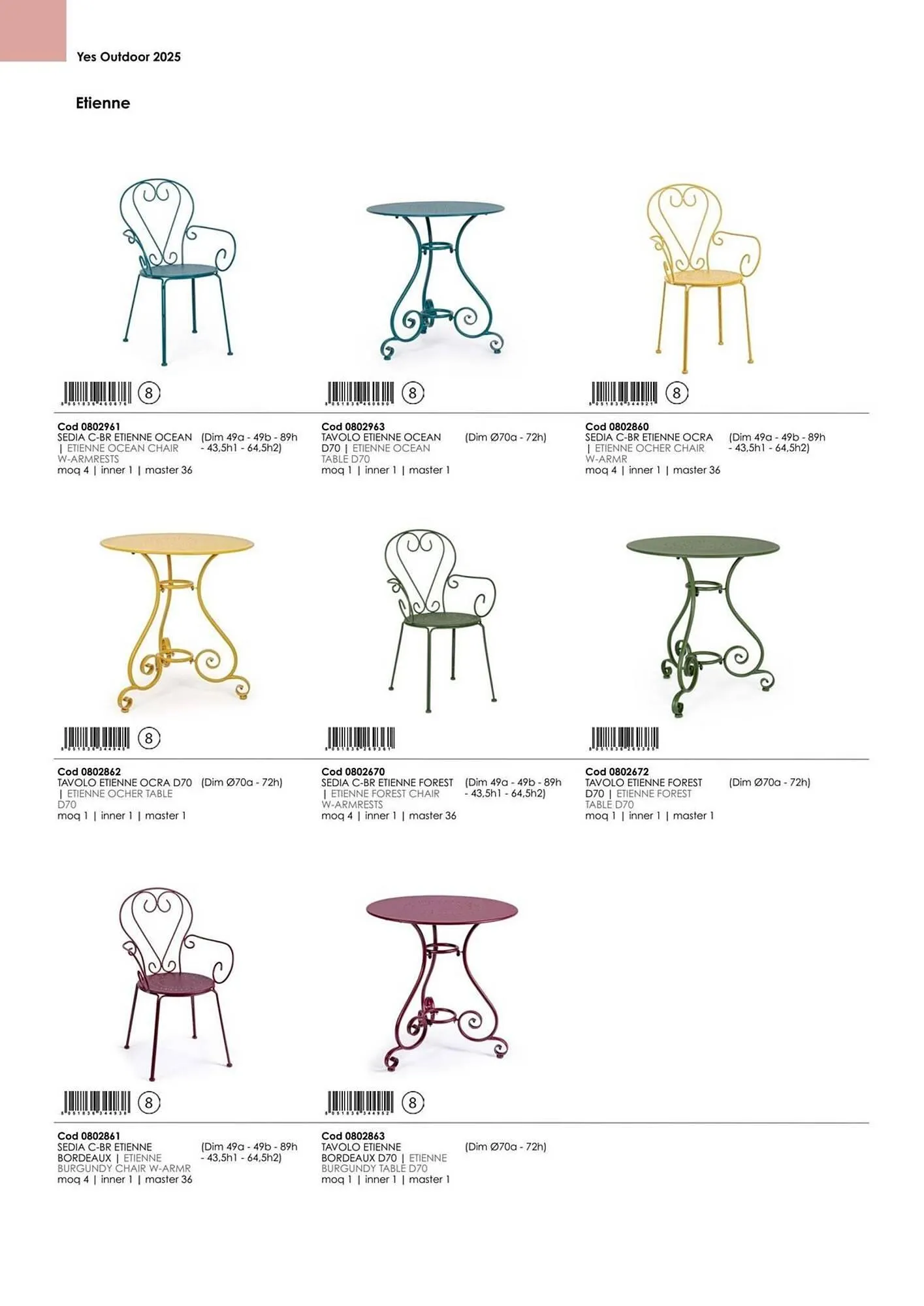 Volantino Bizzotto da 21 gennaio a 31 dicembre di 2025 - Pagina del volantino 49
