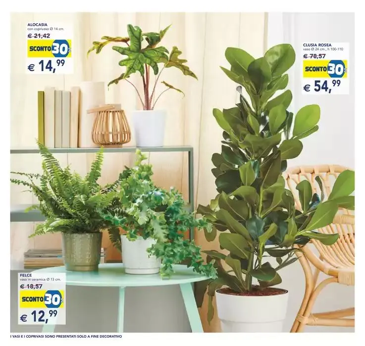 Festa dei fiori da 23 aprile a 6 maggio di 2025 - Pagina del volantino 8