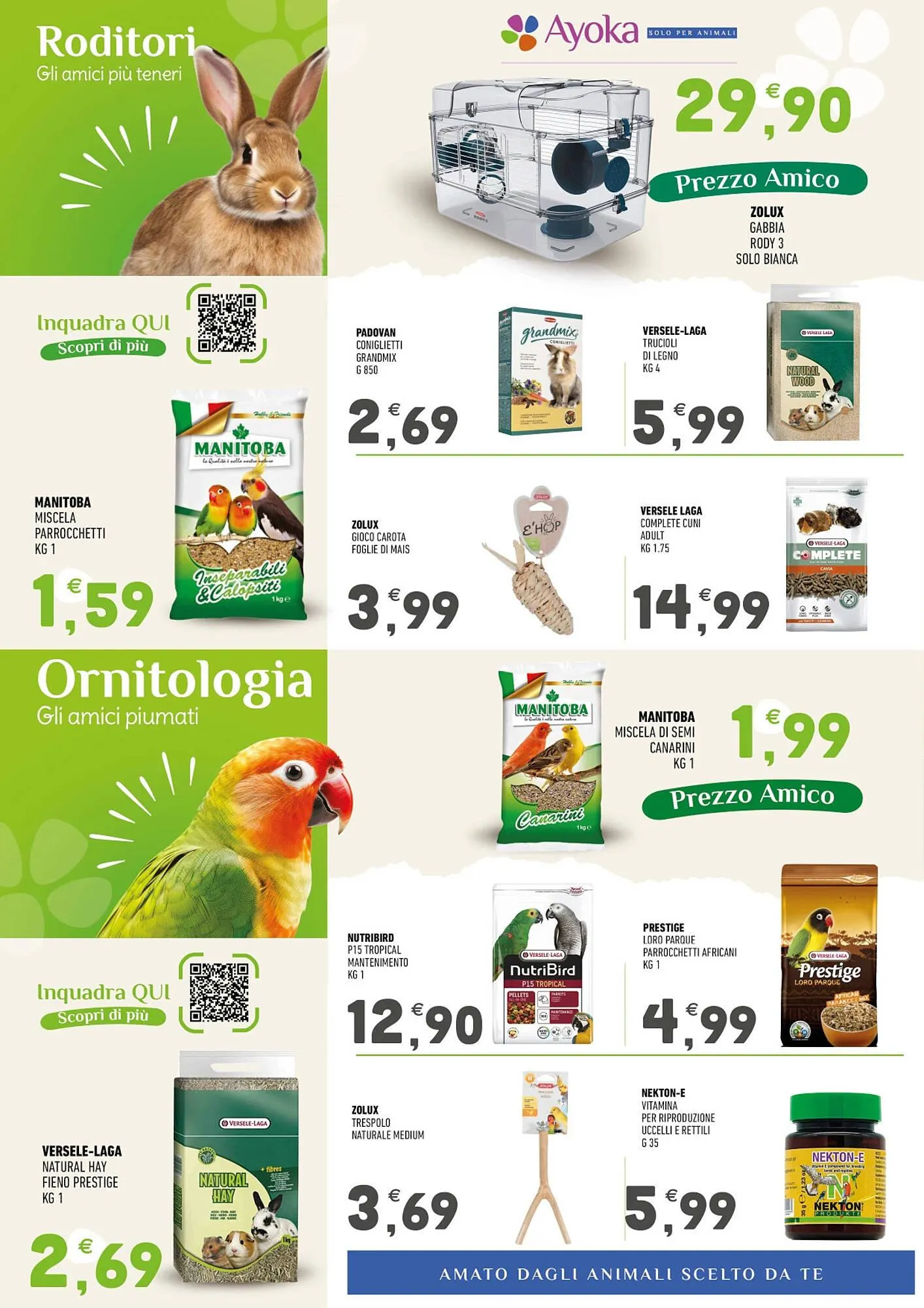 Volantino Ayoka da 24 novembre a 14 dicembre di 2025 - Pagina del volantino 6