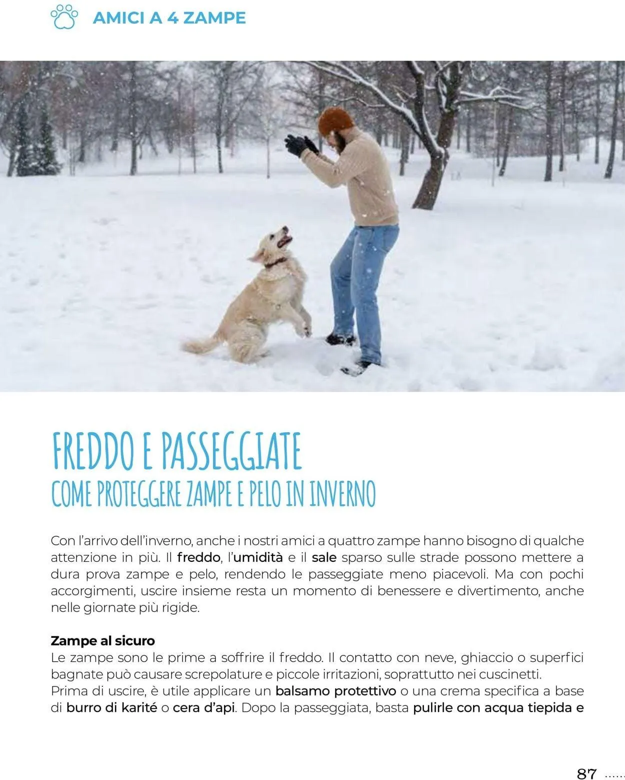 Gulliver Volantino attuale da 1 dicembre a 31 dicembre di 2025 - Pagina del volantino 87