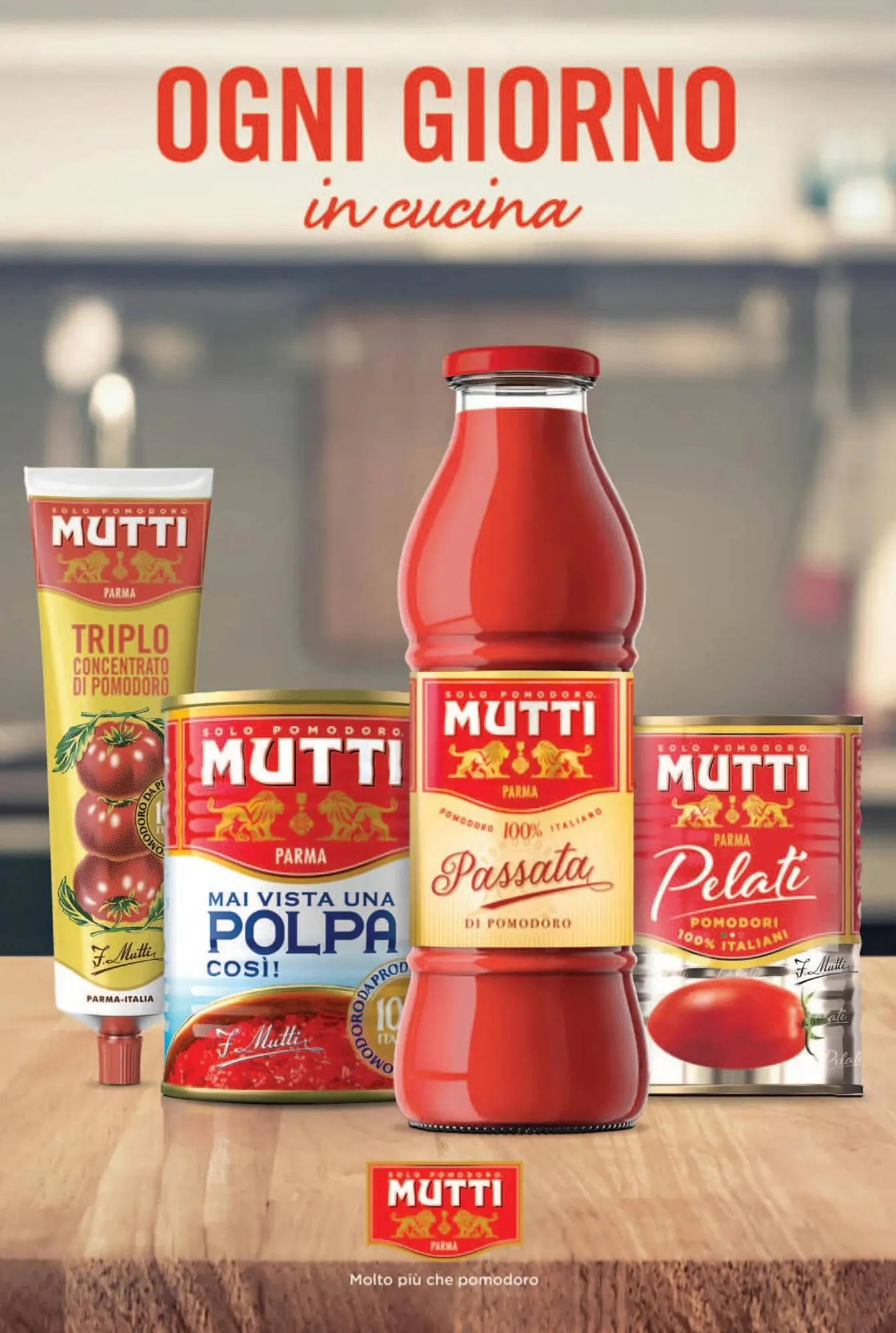 Volantino Coal da 24 aprile a 30 dicembre di 2024 - Pagina del volantino 2