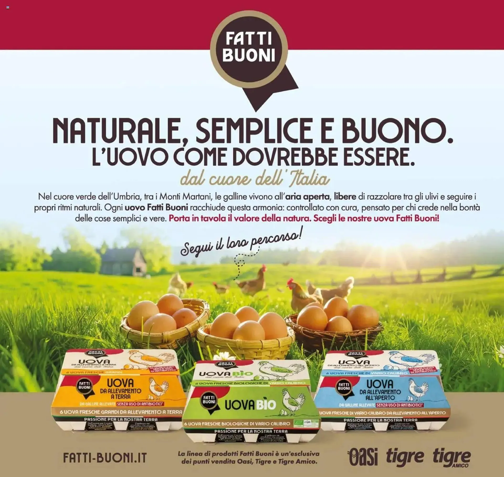 Volantino Oasi da 23 ottobre a 5 novembre di 2025 - Pagina del volantino 14