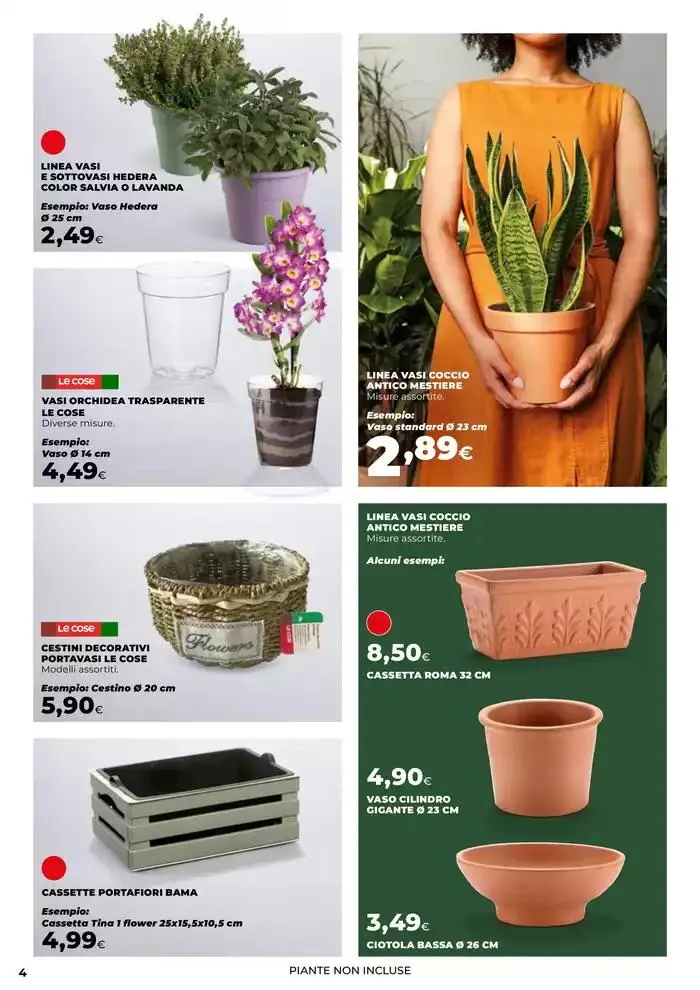 E' tempo di fiorire da 14 marzo a 9 aprile di 2025 - Pagina del volantino 4