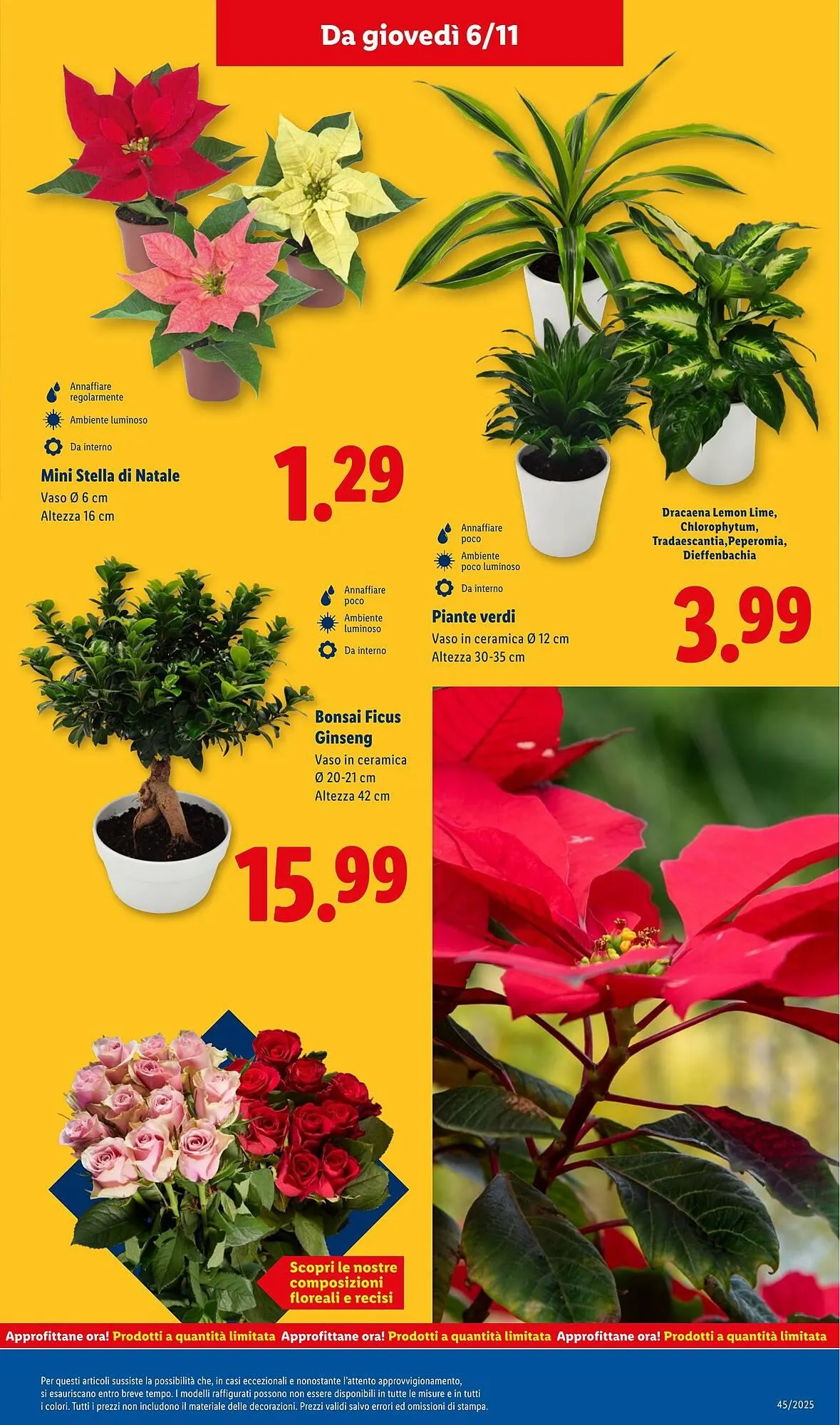 Volantino Lidl da 3 novembre a 9 novembre di 2025 - Pagina del volantino 43