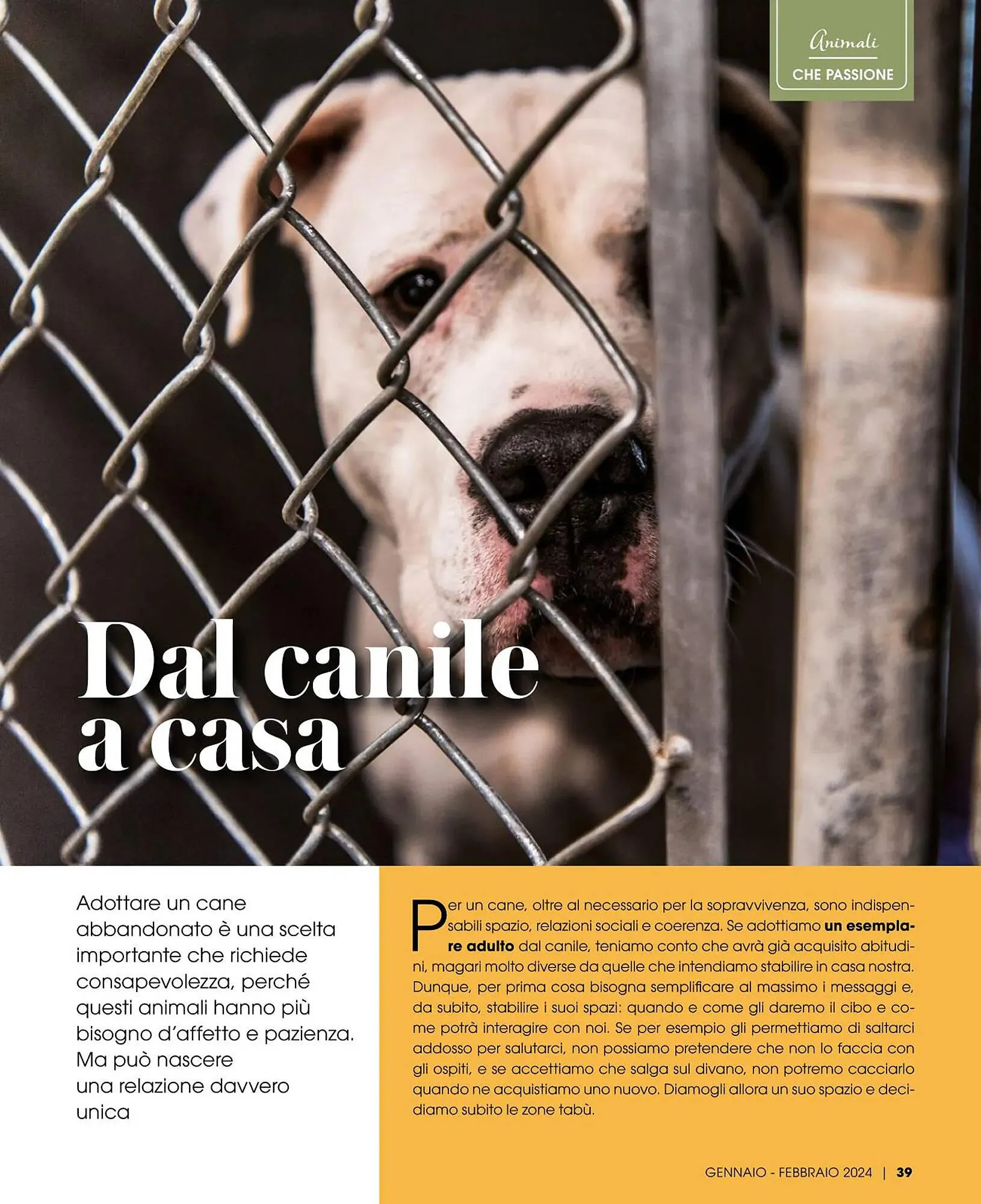 Volantino Italmark da 9 febbraio a 31 dicembre di 2024 - Pagina del volantino 39